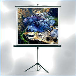 MW Экран на треноге Cineflex 150 x 150