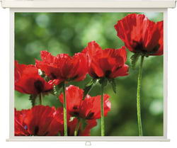 MW Экран ручной Premium Wall Screen 244 x 187