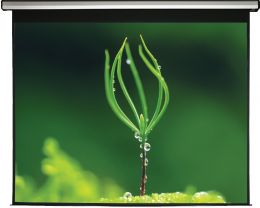 MW Авт. экран большого размера Electric Screen Silver 400 x 270